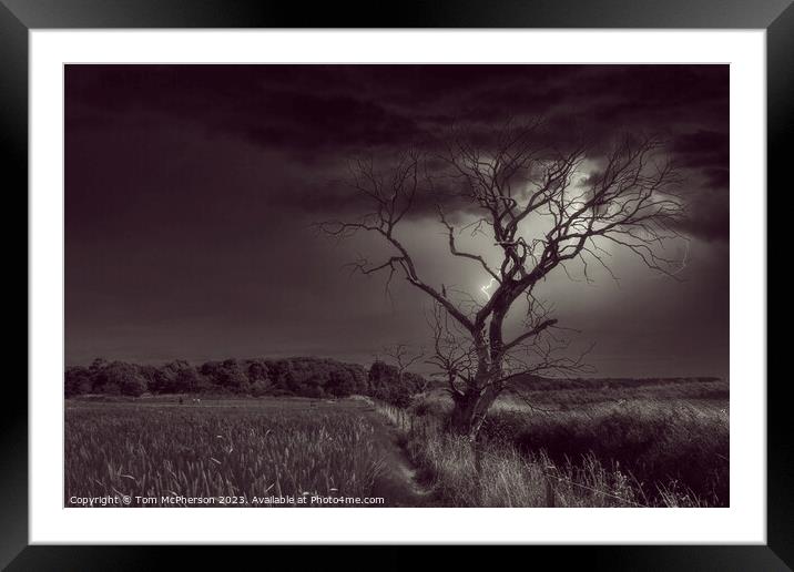 The Lightning Tree Framed Mounted Print by Tom McPherson