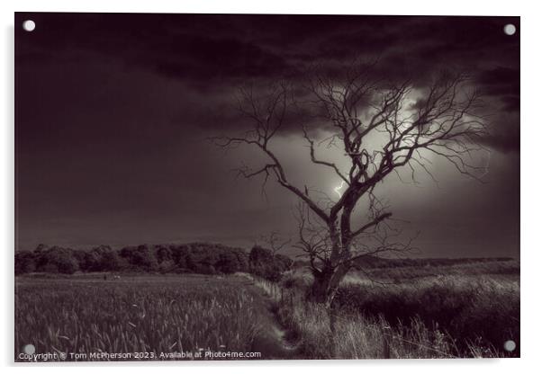 The Lightning Tree Acrylic by Tom McPherson