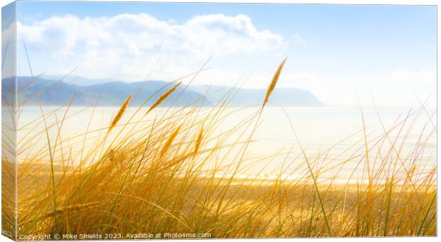 Sunny Day Grass Canvas Print by Mike Shields