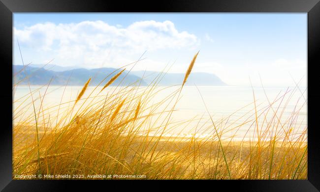 Sunny Day Grass Framed Print by Mike Shields