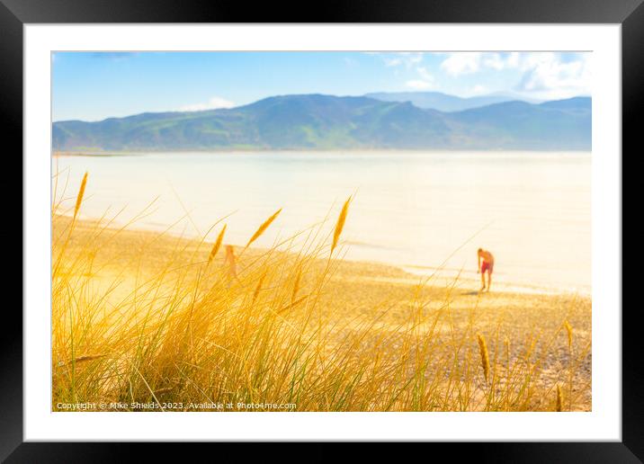Sunny Day Swim Framed Mounted Print by Mike Shields