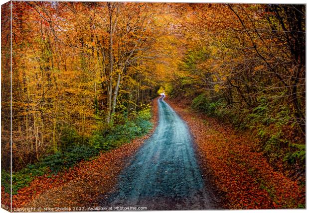An Autumn Path Canvas Print by Mike Shields