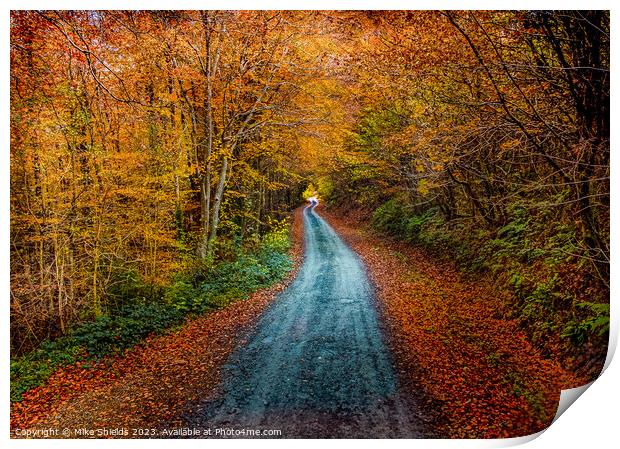 An Autumn Path Print by Mike Shields