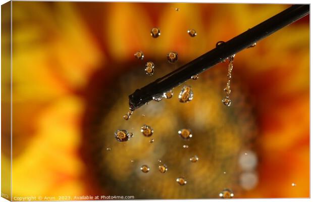 Water drops and Flowers Canvas Print by Arun 
