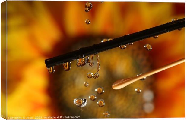 Water drops and Flowers Canvas Print by Arun 