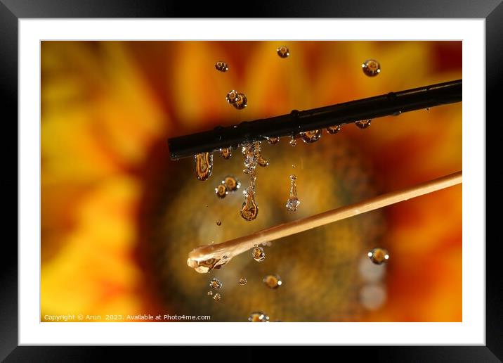 Water drops and Flowers Framed Mounted Print by Arun 