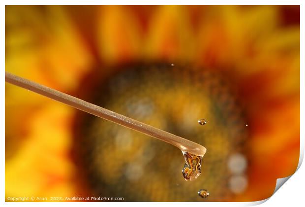 Water drops and Flowers Print by Arun 