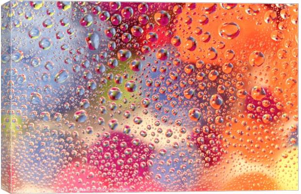 Close up of water drops Canvas Print by Arun 