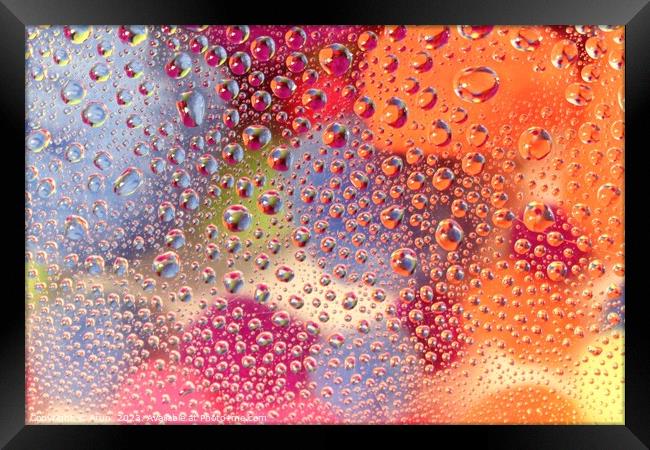 Close up of water drops Framed Print by Arun 