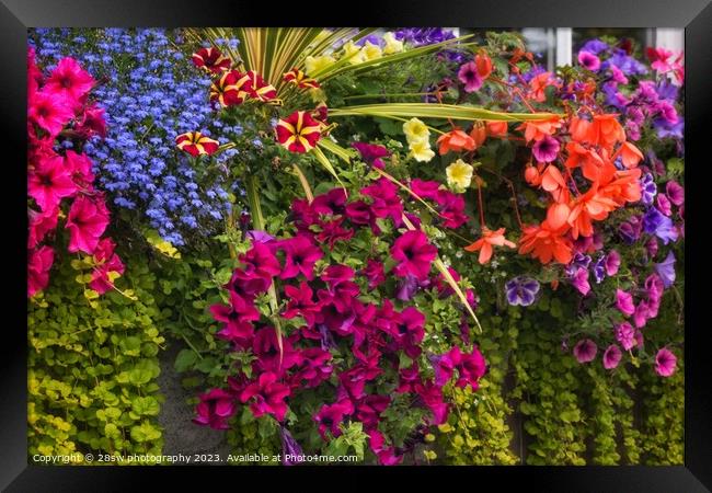 Floral Carpet of Colour. Framed Print by 28sw photography