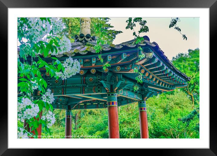 Korean Pagoda Apple Blossoms Van Dusen Garden Vancouver Canada Framed Mounted Print by William Perry