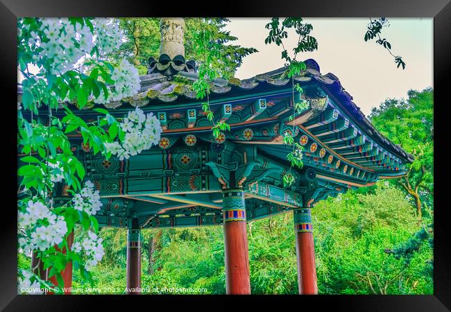 Korean Pagoda Apple Blossoms Van Dusen Garden Vancouver Canada Framed Print by William Perry