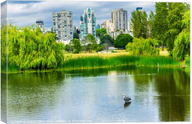 Vancouver Great Blue Heron Pond Vanier Park Canada Canvas Print by William Perry