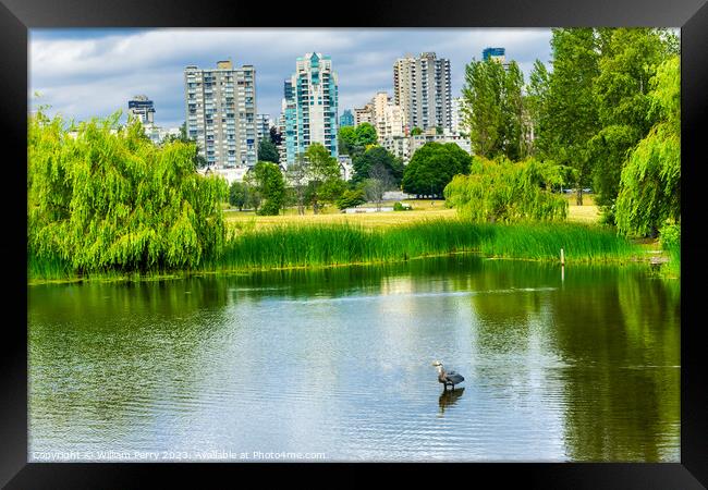 Vancouver Great Blue Heron Pond Vanier Park Canada Framed Print by William Perry