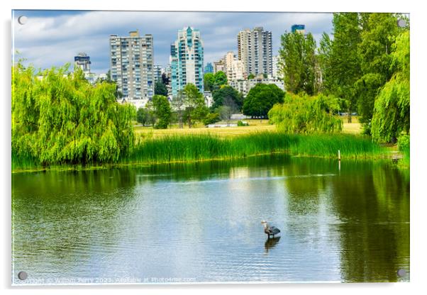 Vancouver Great Blue Heron Pond Vanier Park Canada Acrylic by William Perry