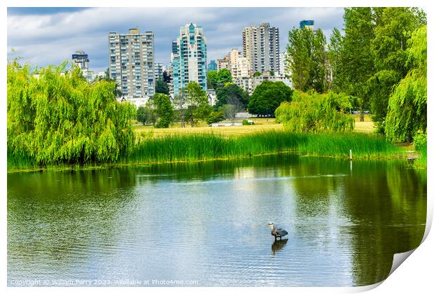 Vancouver Great Blue Heron Pond Vanier Park Canada Print by William Perry
