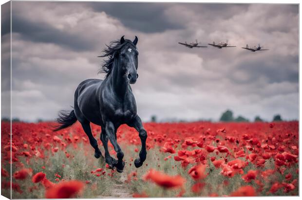 Riding the Winds of Remembrance Canvas Print by J Biggadike