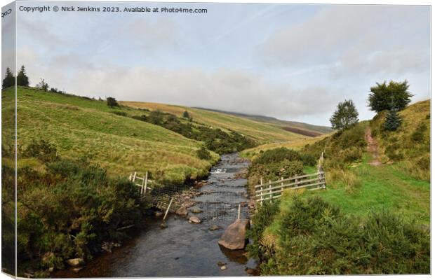 River Llia in the Fforest Fawr Area Brecon Beacons Canvas Print by Nick Jenkins