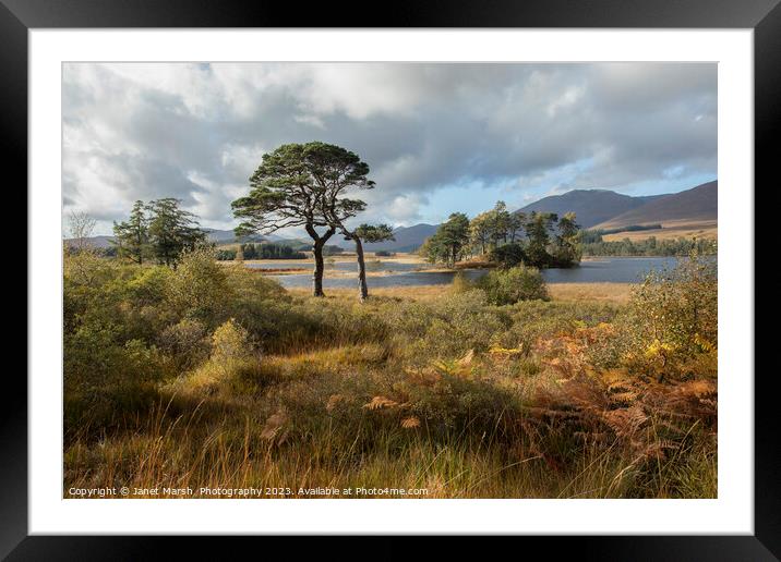 Perfect View  Framed Mounted Print by Janet Marsh  Photography