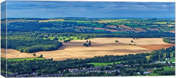 Otley Panorama Canvas Print by Darren Galpin