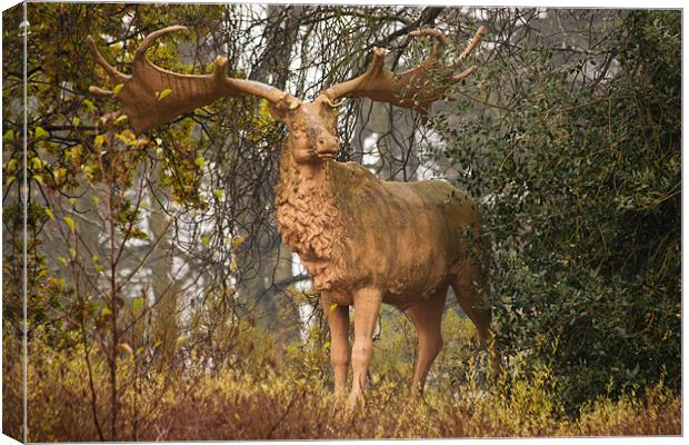 Megaloceros Canvas Print by Dawn O'Connor