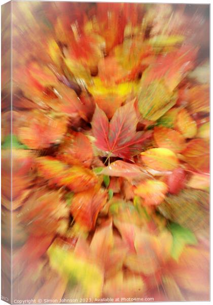 autumn collage Canvas Print by Simon Johnson