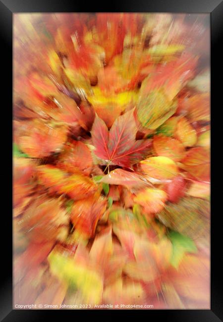 autumn collage Framed Print by Simon Johnson