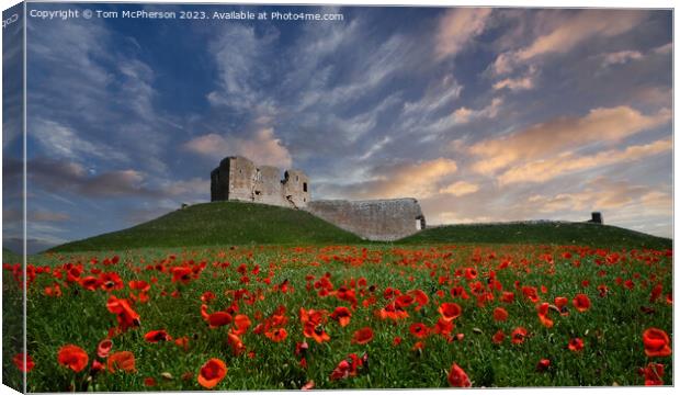 Duffus Castle Poppies Canvas Print by Tom McPherson