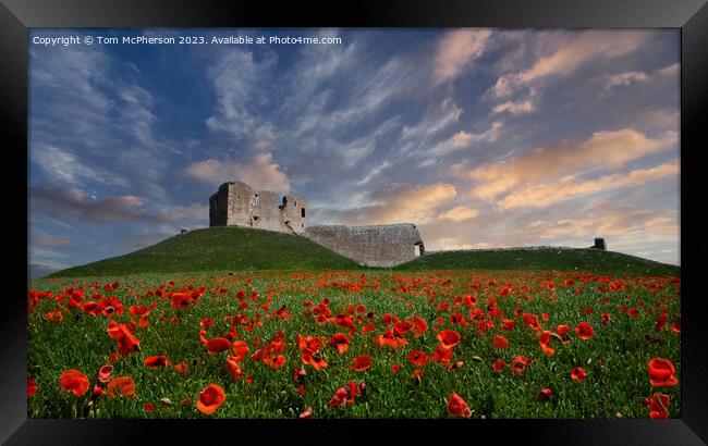 Duffus Castle Poppies Framed Print by Tom McPherson
