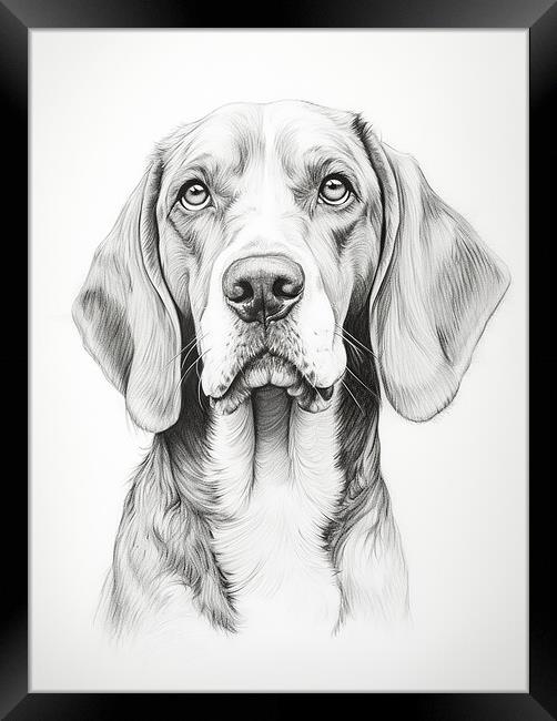 American English Coonhound Pencil Drawing Framed Print by K9 Art