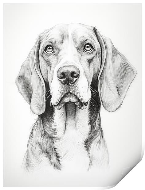American English Coonhound Pencil Drawing Print by K9 Art