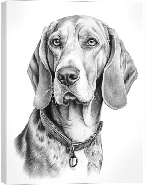 American English Coonhound Pencil Drawing Canvas Print by K9 Art