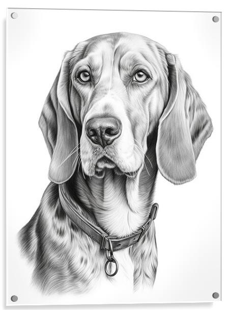 American English Coonhound Pencil Drawing Acrylic by K9 Art