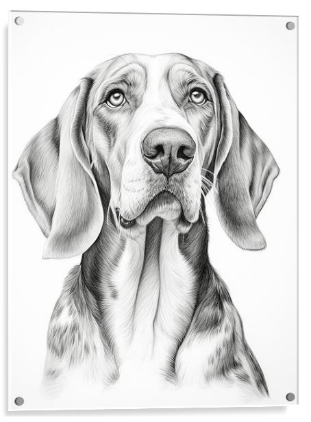American English Coonhound Pencil Drawing Acrylic by K9 Art