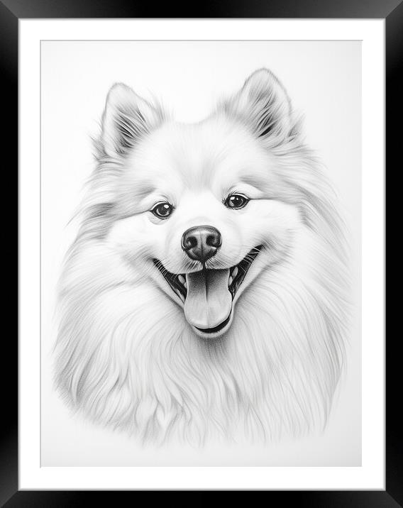 American Eskimo Dog Pencil Drawing Framed Mounted Print by K9 Art