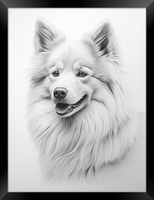 American Eskimo Dog Pencil Drawing Framed Print by K9 Art