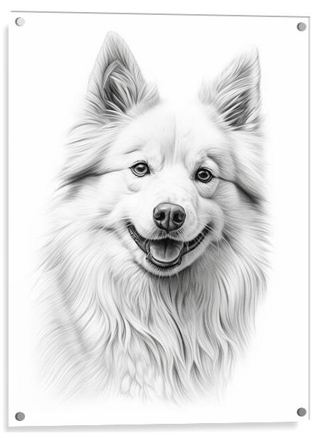 American Eskimo Dog Pencil Drawing Acrylic by K9 Art