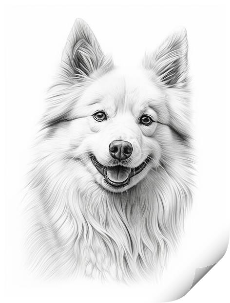 American Eskimo Dog Pencil Drawing Print by K9 Art