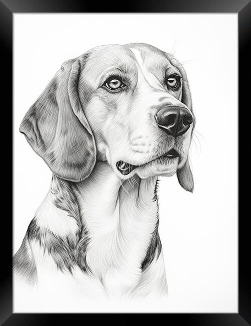 American Foxhound Pencil Drawing Framed Print by K9 Art