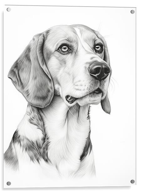 American Foxhound Pencil Drawing Acrylic by K9 Art