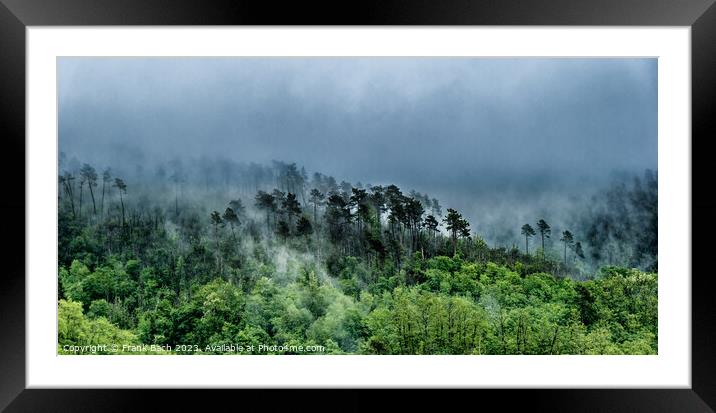 Foggy landscape with trees near Levanto La Spezia, Italy Framed Mounted Print by Frank Bach