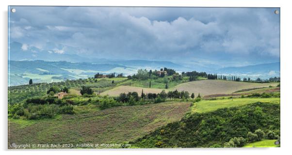 Tuscan landscape farmland outside Voleterra, Tuscany Italy Acrylic by Frank Bach