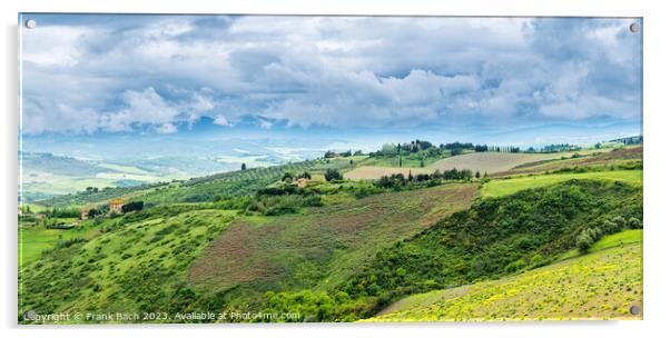 Tuscan landscape farmland outside Voleterra, Tuscany Italy Acrylic by Frank Bach