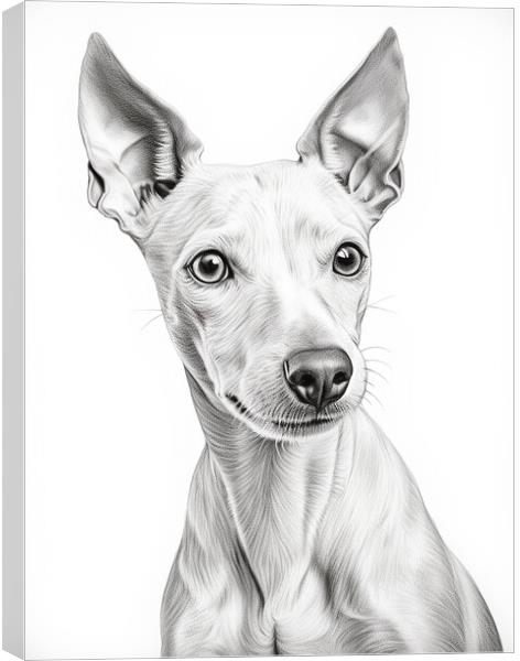 American Hairless Terrier Pencil Drawing Canvas Print by K9 Art