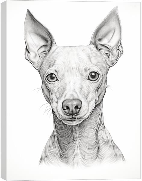 American Hairless Terrier Pencil Drawing Canvas Print by K9 Art