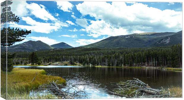 Sprague lake in Colorado Canvas Print by O.T Shots