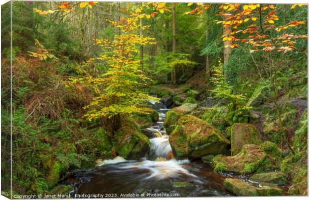 Fairy Tale- Wyming Brook Canvas Print by Janet Marsh  Photography