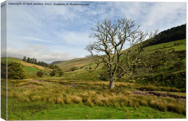Valley in Central Brecon Beacons October  Canvas Print by Nick Jenkins
