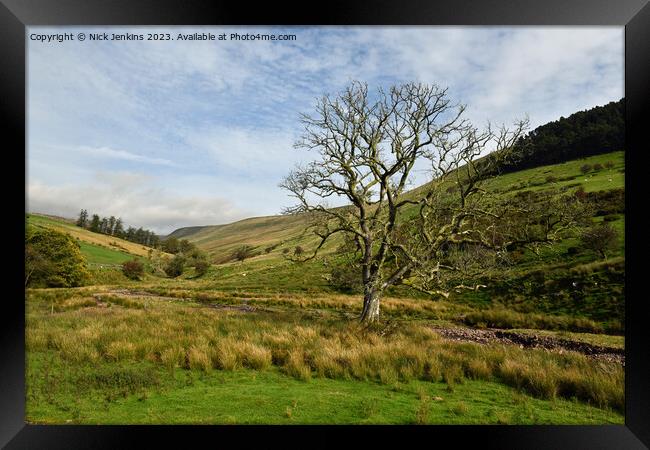 Valley in Central Brecon Beacons October  Framed Print by Nick Jenkins