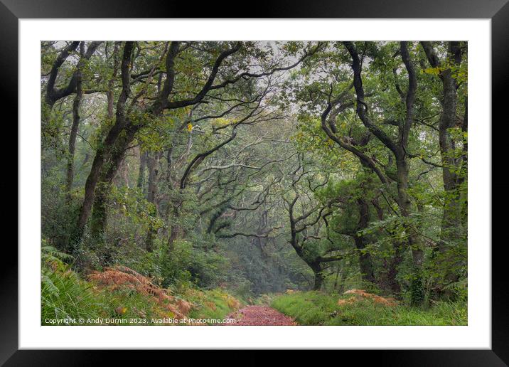 Luxulyan Valley Walk Framed Mounted Print by Andy Durnin